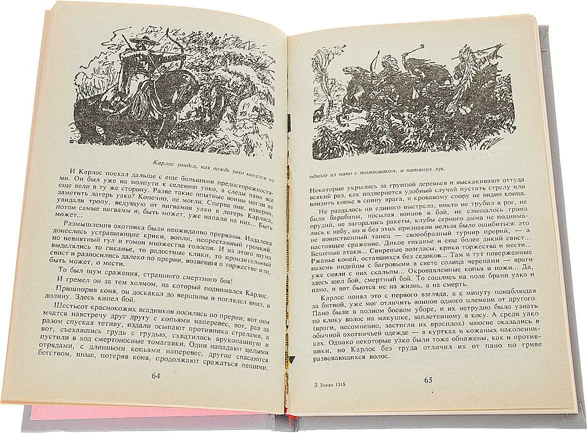 Белый вождь. Белый вождь майн Рид. Майн Рид иллюстрации к книге белый вождь. Белый вождь содержание краткое. Майн Рид стихи.