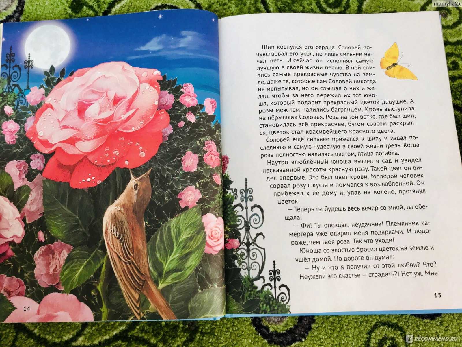 Соловей и роза — сказка уайльда оскара | сказки. рассказы. стихи