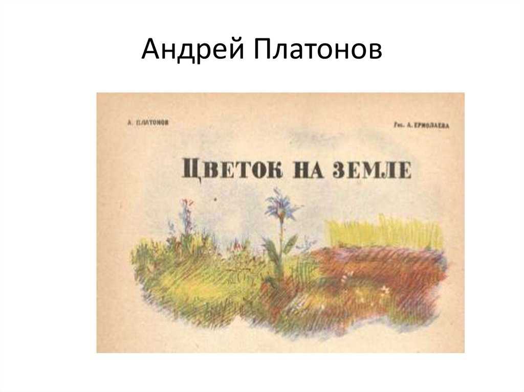 Кто написал рассказ цветок на земле. Иллюстрация к рассказу Платонова цветок на земле.