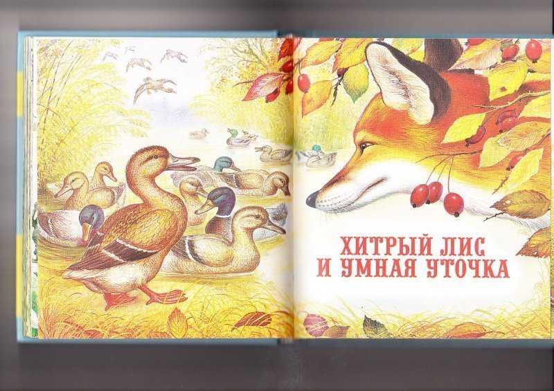 Сова хитрый лис и умная уточка читать. детские сказки онлайн. про бедного человека и вороньего царя — украинская народная сказка