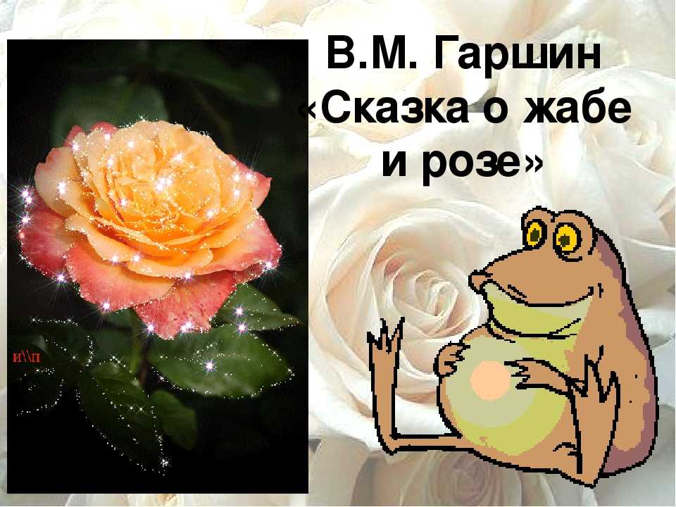 Читательский дневник «о жабе и розе» всеволода гаршина
