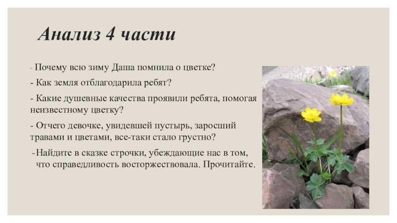 Анализ произведения платонова неизвестный цветок