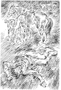 Появление лошадей породы мустанг и их образ жизни
