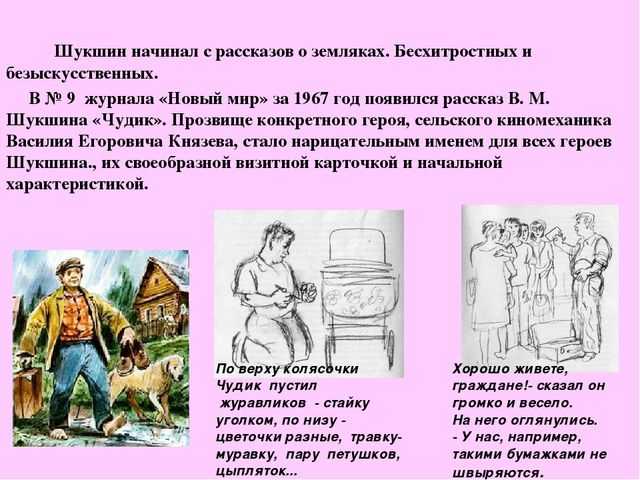 Русский и литература 865:  рассказ шукшина "обида". вопросы.