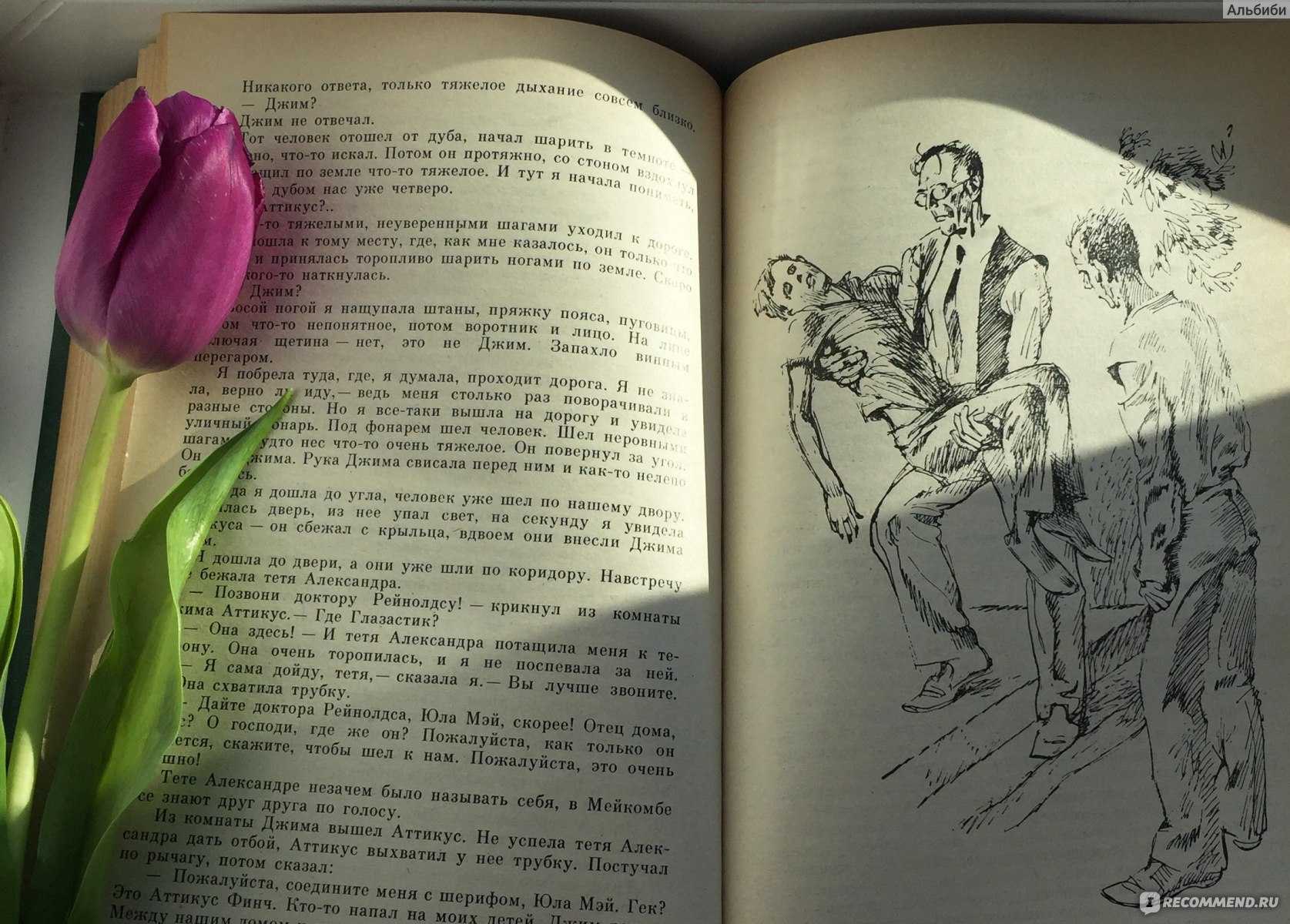 Роман харпер ли "убить пересмешника": краткое содержание, главные герои, экранизации :: syl.ru