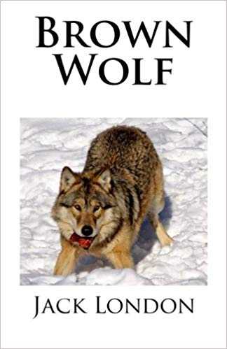 Лондон бурый волк читать. Бурый волк Джек Лондон иллюстрации. Бурый волк Джек Лондон книга. Дж Лондон бурый волк. Jack London волк.
