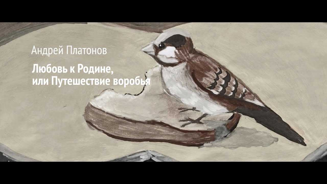 Андрей платонов. любовь к родине, или путешествие воробья. обсуждение на liveinternet