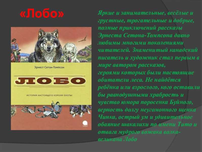 Забота о потомстве у животных: как звери воспитывают своих детенышей / mama66.ru