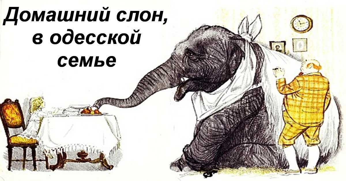 "слон": скачать книгу fb2, epub или читать онлайн александр иванович куприн