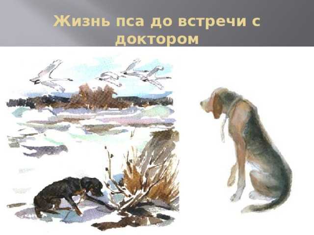 Арктур — гончий пес — краткое содержание рассказа казакова