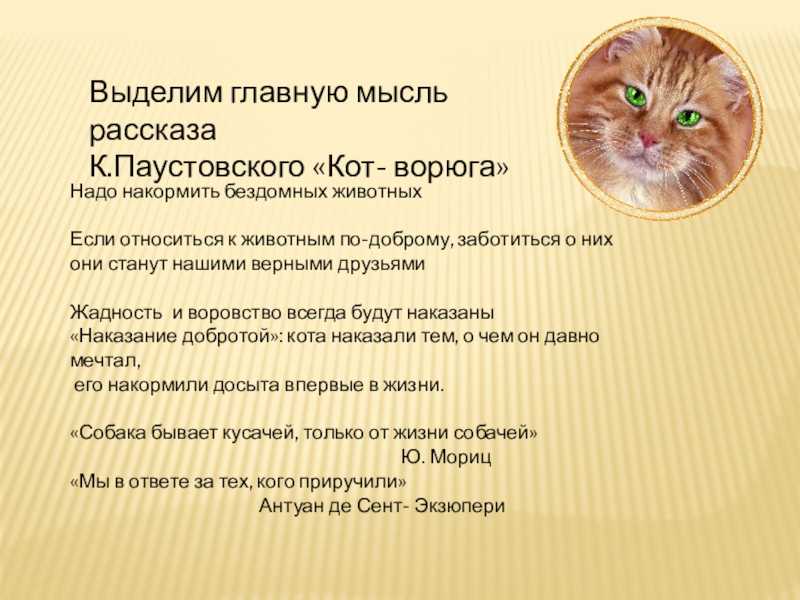 Кот-ворюга сказка про кота, кошку читать онлайн текст