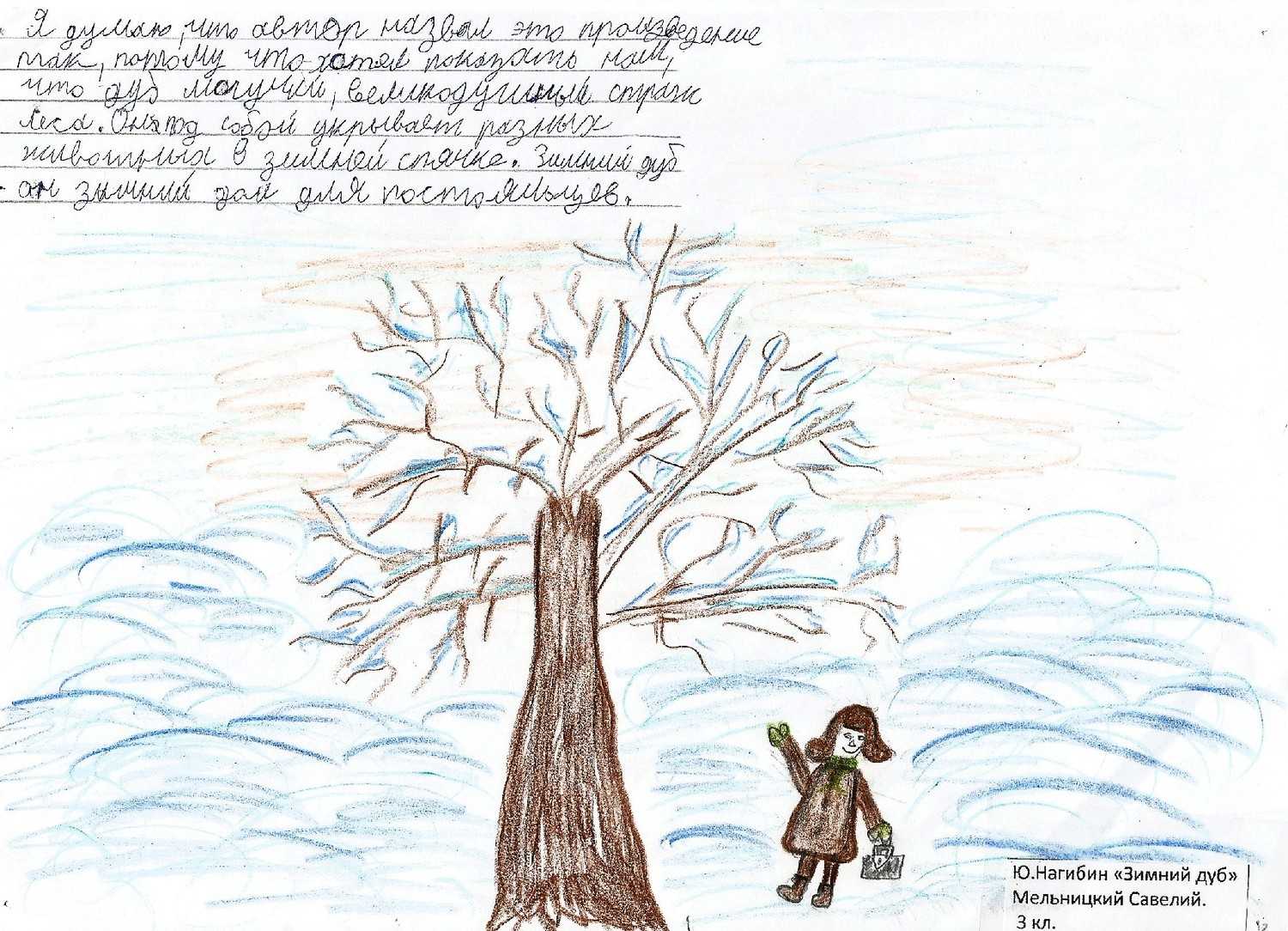 Нагибин юрий “зимний дуб” читательский дневник, краткое содержание