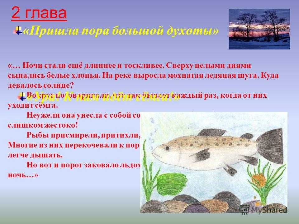 Краткий пересказ жила была. Жила была сёмужка план по главам. Краткий пересказ жила-была сёмушка. Жила была сёмужка краткое содержание. Научные факты к рассказу жила была сёмужка.