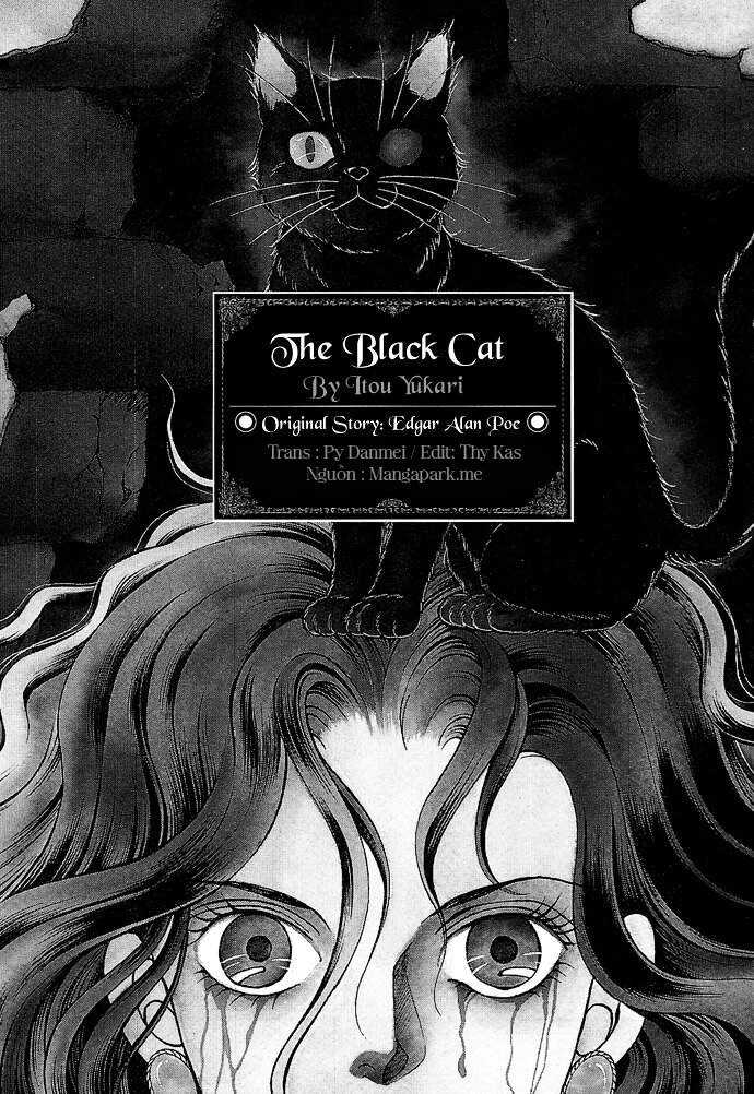 Эдгар по черный кот анализ произведения. эдгар по «чёрный кот» сборник (1843)