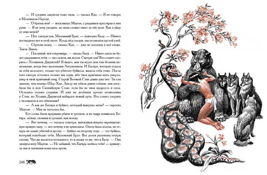 «маугли» — краткое содержание рассказа «книги джунглей» редьярда киплинга — litera.site — литературный сайт