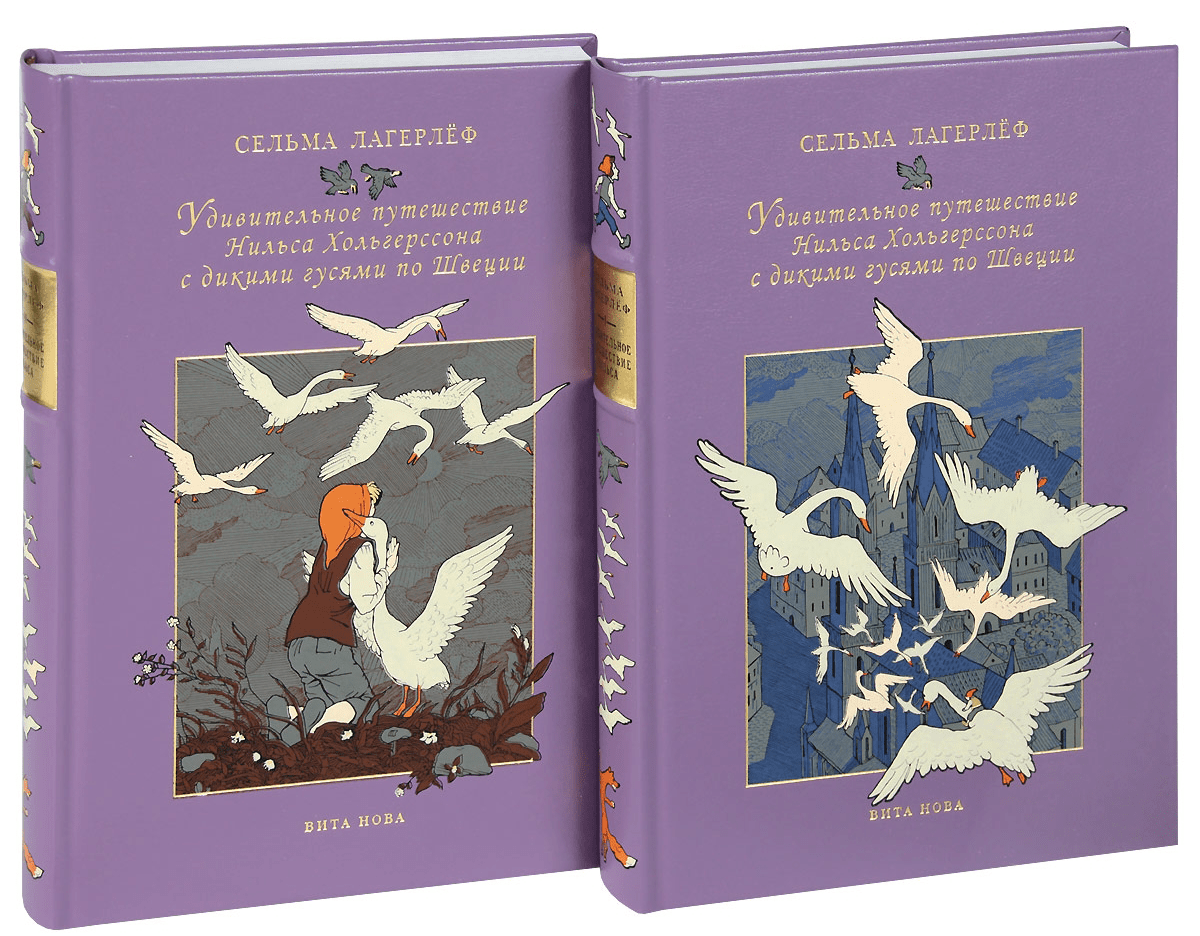 Лагерлеф сельма “чудесное путешествие нильса с дикими гусями” читательский дневник, краткое содержание