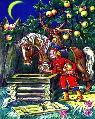 В далёком царстве жил царь с тремя сыновьями: Фёдором, Василием и Иваном Состарился царь, стал плохо видеть Но слышал он ещё хорошо Дошла до него молва о дивном саде с яблоками, которые возвращают человеку молодость