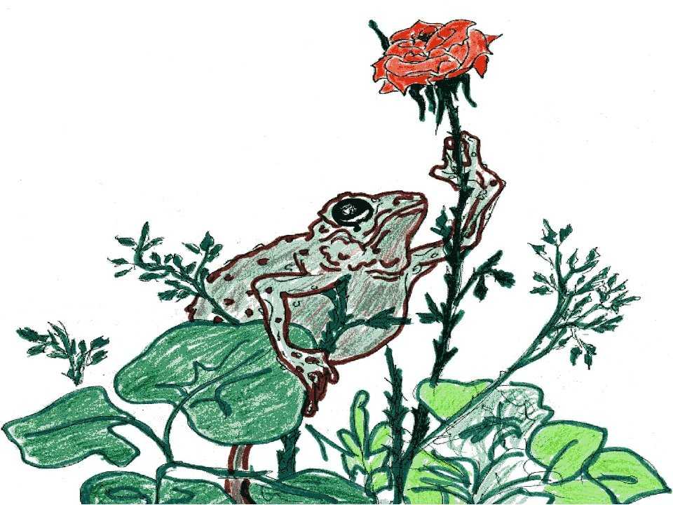 Гаршин «сказка о жабе и розе»